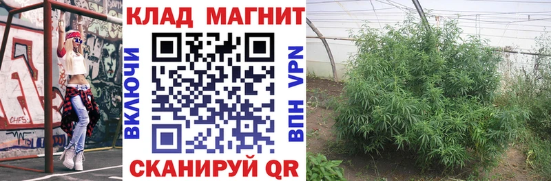 Купить наркотики цена Бавлы Конопля  A-PVP  МЕФ 